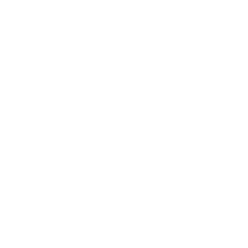 Reina Padel Academy